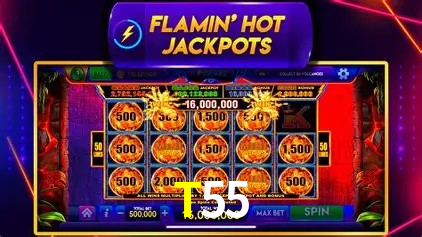 T55 BET